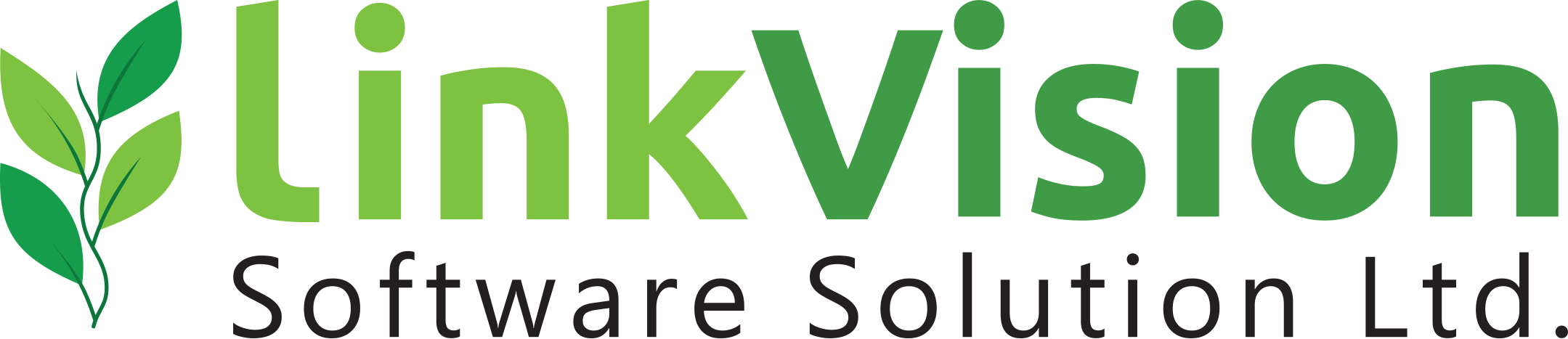 LinkVision Logo